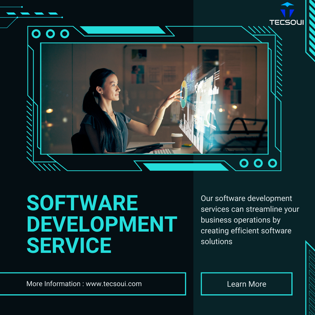 Software Development Service